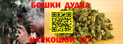 гидропоника Будённовск