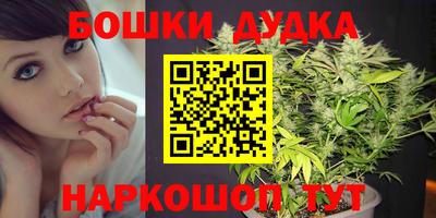 гидропоника Будённовск