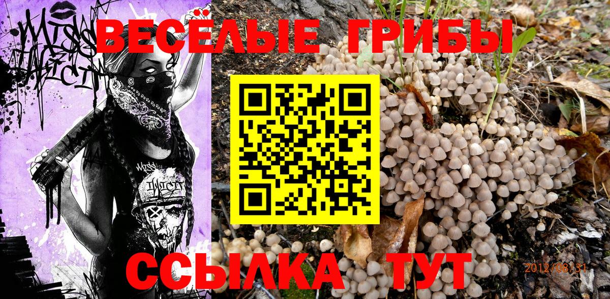 Галлюциногенные грибы прущие грибы  что такое наркотик  Ростов Великий  Вход с VPN 