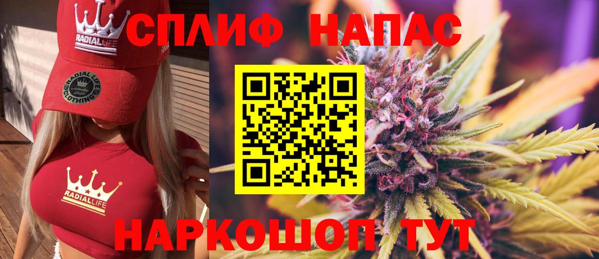 Конопля сатива Ростов Великий